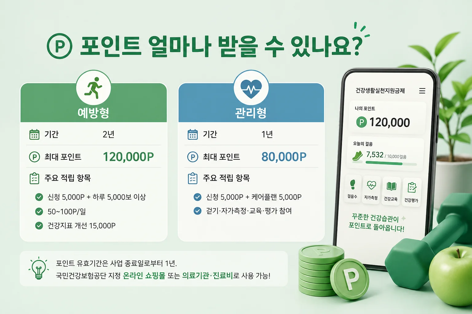건강생활실천지원금제 지급액